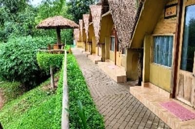 POD House 116