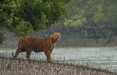 Bangladesh