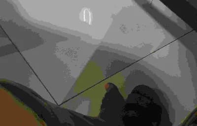Cargo